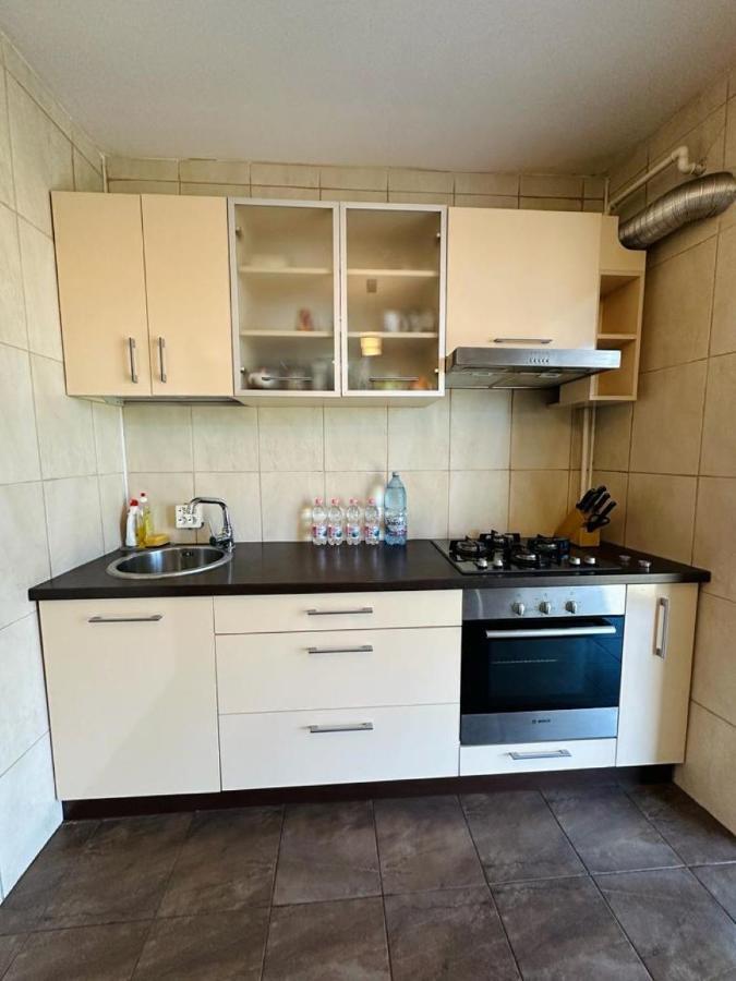 Central Apartment No1 Timisoara Luaran gambar